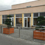 Tvarovan&eacute; borovice u recepce průmyslov&eacute;ho are&aacute;lu 1