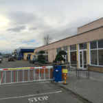 Tvarovan&eacute; borovice u recepce průmyslov&eacute;ho are&aacute;lu 2