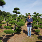 Stromy na plant&aacute;ž&iacute;ch - 33