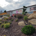 Tvarovan&eacute; stromy u outlet centra 1