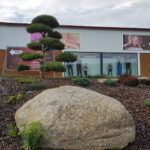 Tvarovan&eacute; stromy u outlet centra 2