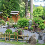 V&yacute;sadba tvarovan&yacute;ch stromů - 04