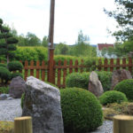 V&yacute;sadba tvarovan&yacute;ch stromů - 05