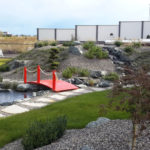 V&yacute;sadba tvarovan&yacute;ch stromů - 13