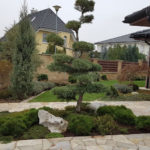 V&yacute;sadba tvarovan&yacute;ch stromů - 15