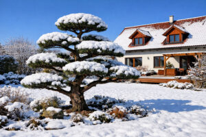 Zasněžená okrasná zahrada (Autor vizualizace: IMPEKA s.r.o.)