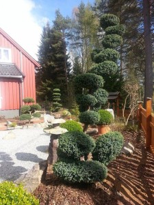 Ze zahrady po v&yacute;sadbě stromů