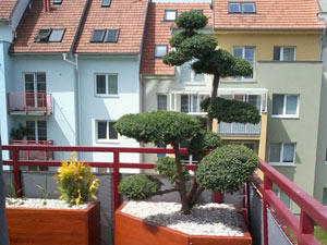 V&yacute;zdoba terasy domu v Brně