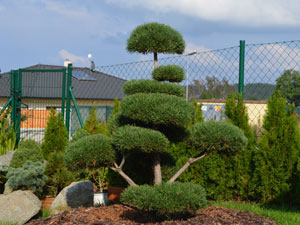 Okrasn&aacute; zahrada v př&iacute;brami