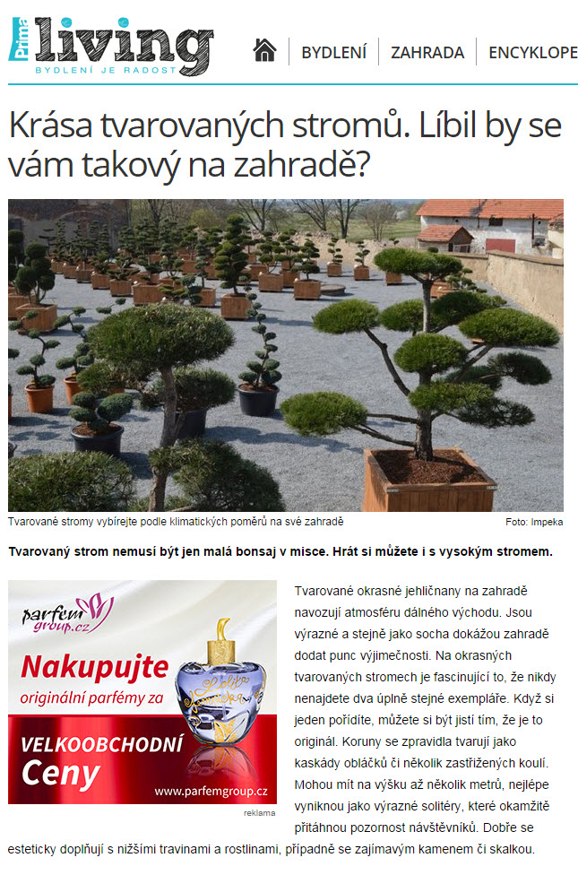 prima living - tvarovan&eacute; okrasn&eacute; stromy